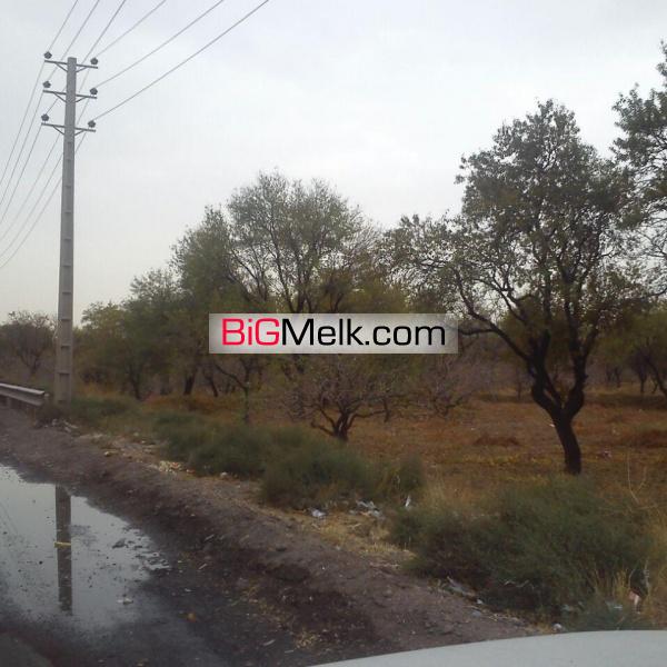 فروش باغ میوه مثمر با درختان میوه بر جاده اصلی در قزوین