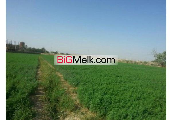 3500متر زمین  باشرایط ویژه | پیشوا، جلیل اباد