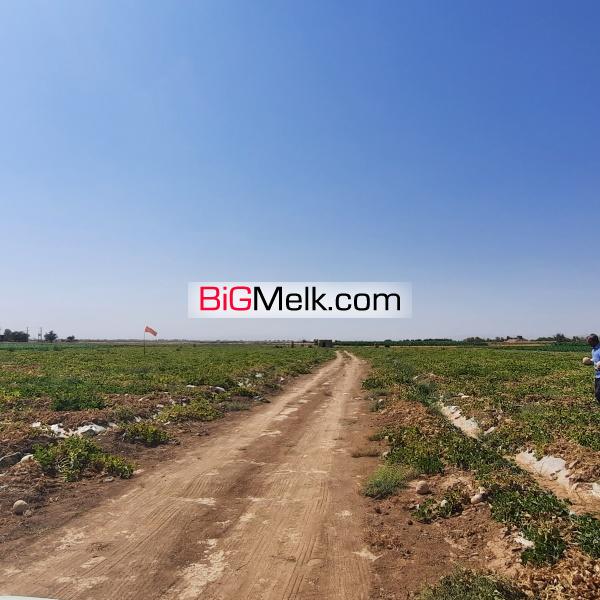 زمین کشاورزی/۱۴هکتاری/جاده ساوه فروش فوری