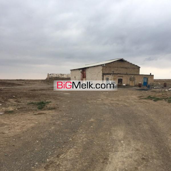 فروش مرغداری گوشتی ۴۰ هزار قطعه