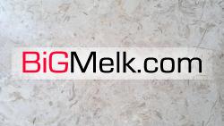 طوسی پرطاووسی ارسنجان - آسیا سنگ مسعودی