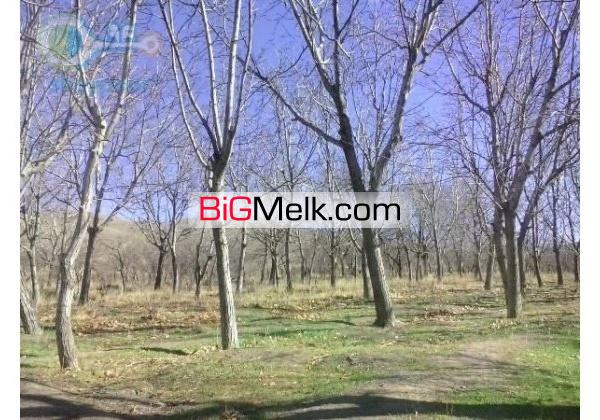 باغ خوانسار10 هزار متردر منطقه جنگاه