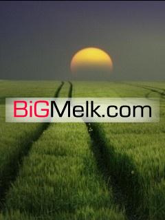 فروش زمین کشاورزی 6هکتار واقع در منطقه آزاد تجاری صنعتی مریو