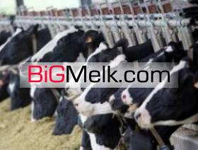 فروش دامداری یا فروش گاوداری در 20کیلومتری اردبیل