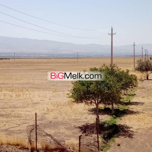فروش زمین کشاورزی ابهر زنجان 36 هکتار