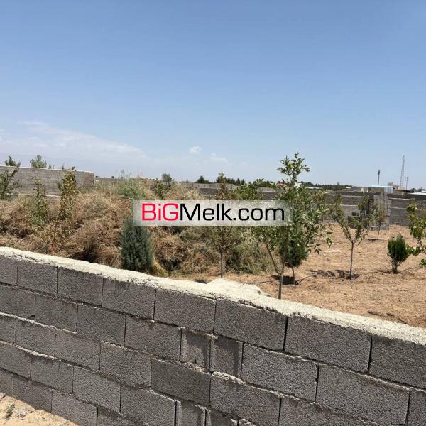 زمین ۱۰۰۰ متری چهاردیواری ابیاری قطره ایی نظرآباد