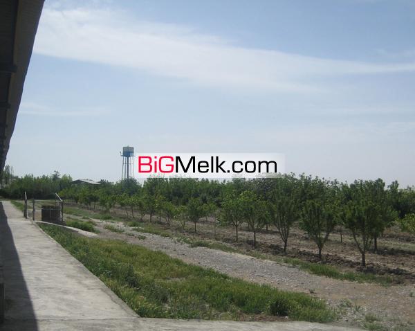 فروش گاوداری صنعتی در هشتگرد کرج