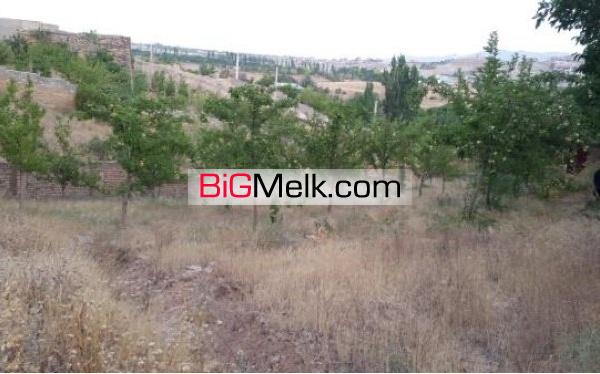 زمین باغ ویلایی 1150 متر محتوای درخت | تهران، دماوند