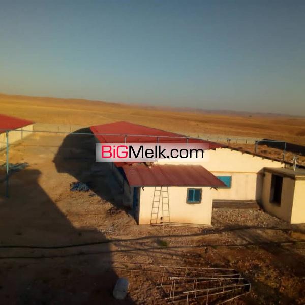 فروش مرغداری۳۰هزارقطعه نوساز اصفهان
