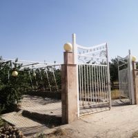 باغ ویلای 1500 متری سر سبز واقع در امند