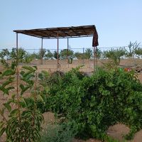 فروش باغ ۸۰۰ متری با امکانات کامل ????