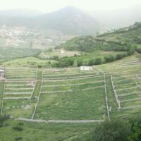 520متر زمین با جوازساخت نوشهر | نوشهر، روستای نیرس