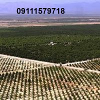 فروش زمین های پلاک بزرگ 1500 هکتاری کشت وصنعت