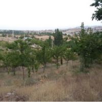 زمین باغ ویلایی 1150 متر محتوای درخت | تهران، دماوند