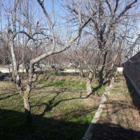 خرید باغ و باغچه در شهریار کد 1475