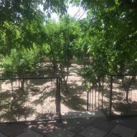 باغ 2000 متری حیدرآباد اصفهان