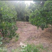 باغ روبروی دانشگاه با موقعیت مکانی عالی مسکونی و تجاری