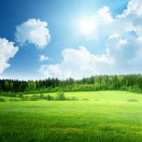فروش  830 هکتار زمین کشاورزی قزوین به سمت بویین زهرا