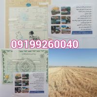 دریافت مجوز گلخانه ودامداری ومرغداری