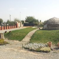 شش هکتار زمین کشاورزی  سند دار بر جاده اصلی کرج به قزوین
