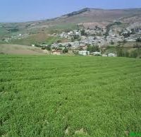 فروش زمین کشاورزی  2500 هکتار زراعی در همدان