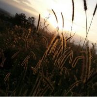 زمین با ویوی رویایی | لاهیجان، لیالمان