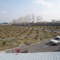 فروش باغ تمام مکانیزه آمل