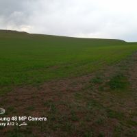 فروش زمین کشاورزی