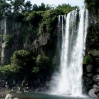 شرکت فضای سبز مشهد