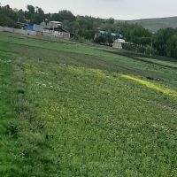 زمین ۳۰۰۰ متر