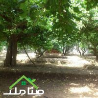 باغچه525متری در لم آباد کد1255