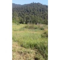 زمین درتابش روستای ریک 3000 متر | تالش، روستای ریک
