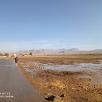 فروش یک قطعه زمین کشاورزی