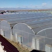 یک دستگاه گلخانه تمام مکانیزه طرح اسپانیایی واقع در ساوه