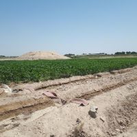 فروش زمین مزروعی