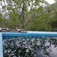 زمین واقع در میگون تهران 370 متری