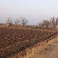 فروش زمین کشاورزی با یک حلقه چاه مجاز