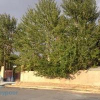 فروش یا معاوضه باغ دراصفهان  گلدشت