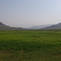 زمین کشاورزی | ۲۰هکتار زمین زراعی در دو دهک دلیجان