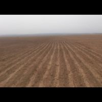 زمین کشاورزی 6 هکتاری +۵۴ هکتار