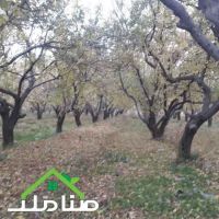 خرید فروش باغ هکتاری در ملارد کد1209