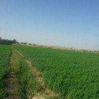 3500متر زمین  باشرایط ویژه | پیشوا، جلیل اباد