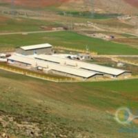 فروش مرغداری ۴۰۰۰۰ قطعه ای سنندج چکاوک
