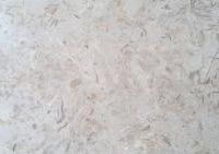 طوسی پرطاووسی ارسنجان - آسیا سنگ مسعودی