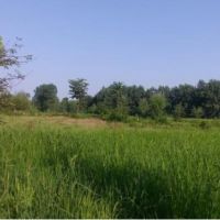 زمین بسیار عالی برای ویلا سازی | گیلان، ماسال