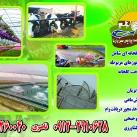 اخذ مجوزهای کشاورزی پروانه تاسیس